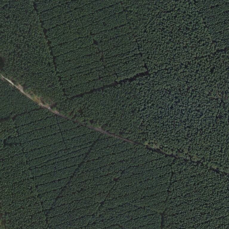 Satellite photo of Tesla Gigafactory, Grünheide, taken 28 Aug 2012